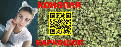 apvp Нальчик